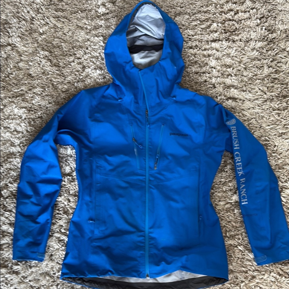 Patagonia Blue Ski Snow Jacket Weather-Resistant Hooded
